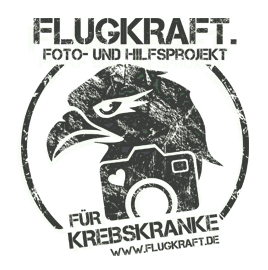  Logo Flugkraft